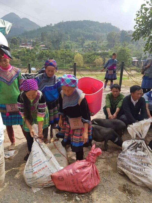 from-sapa-1d-local-bac-ha-sunday-market-tour-best-seller