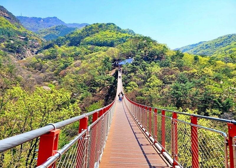 from-seoul-dmz-tour-with-optional-heroes-suspension-bridge