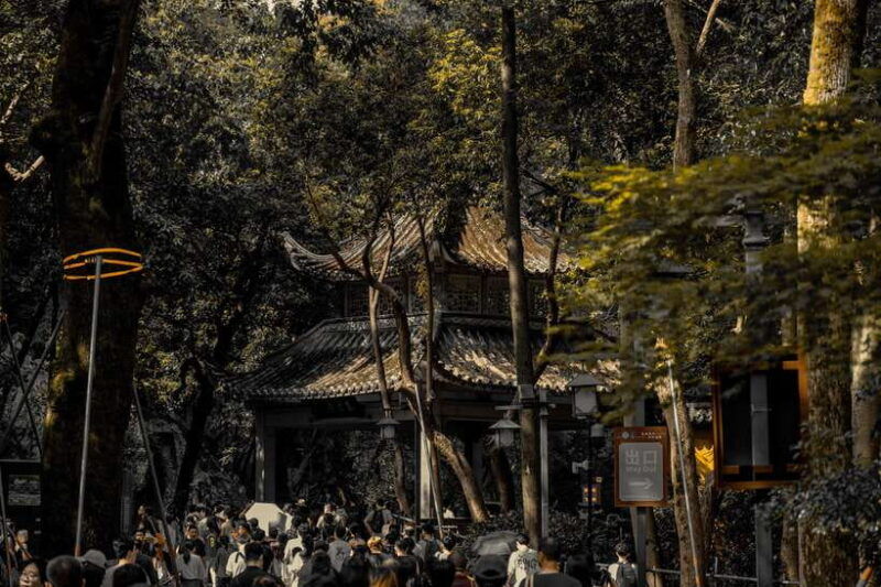 from-shanghaihangzhou-temple-zen-and-longjing-tea-ceremony