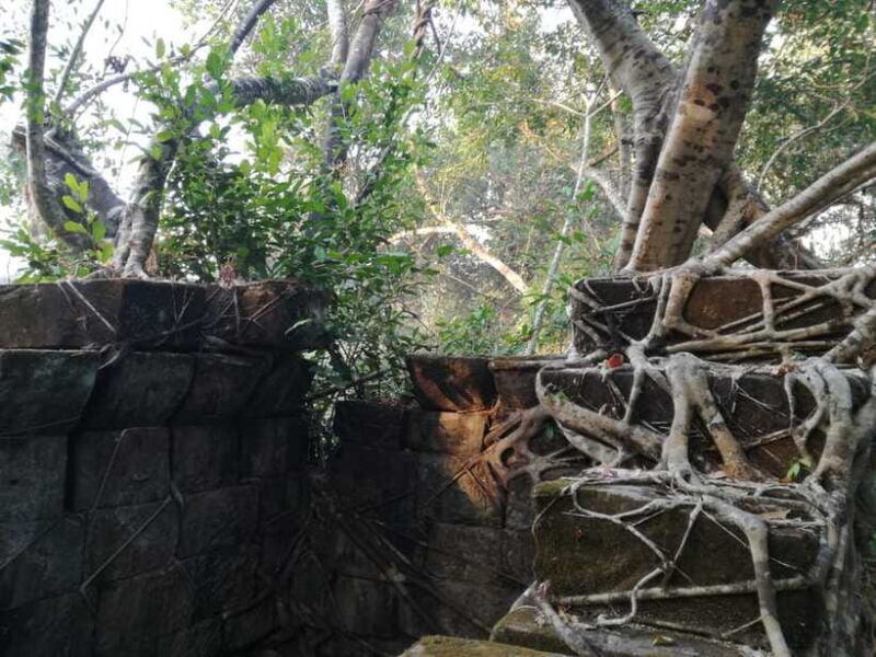 from-siem-reap-half-day-tour-to-beng-mealea-temple