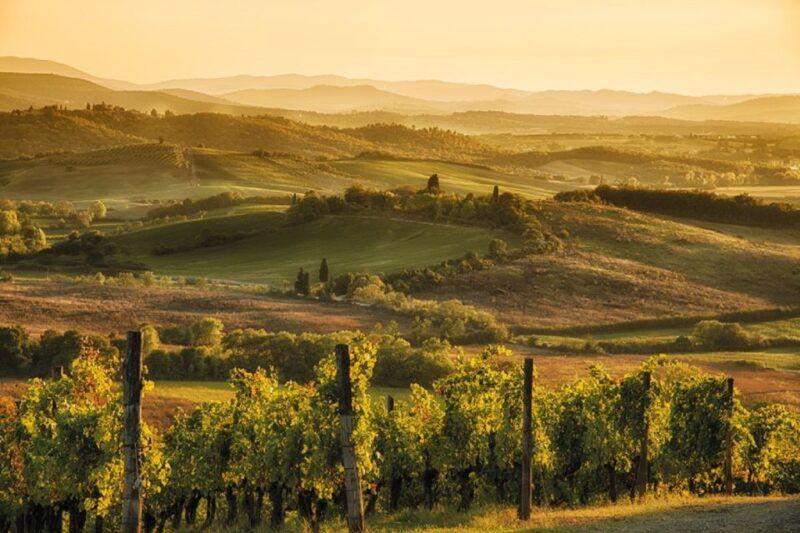 from-siena-chianti-dinner-drinks-in-the-chianti-vineyards