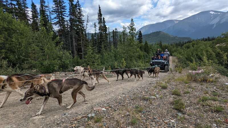 from-skagway-yukon-sled-dog-mushing-white-pass-combo-2