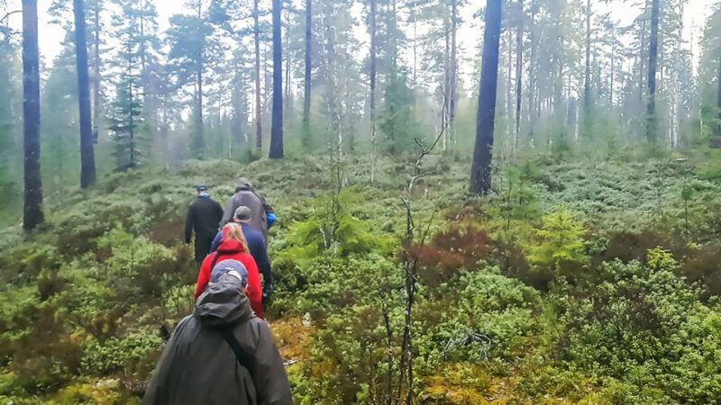 from-stockholm-wildlife-safari-with-campfire-dinner