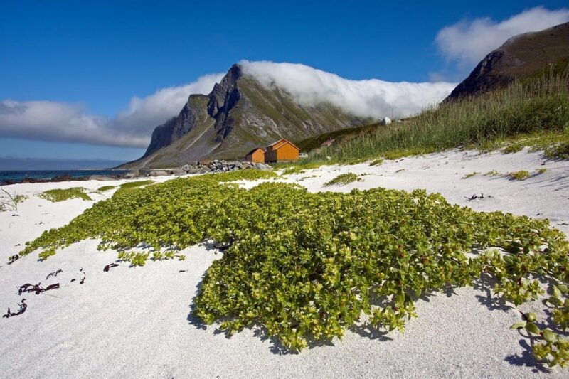 from-svolvaer-reine-a-lofoten-west-island-full-day-tour