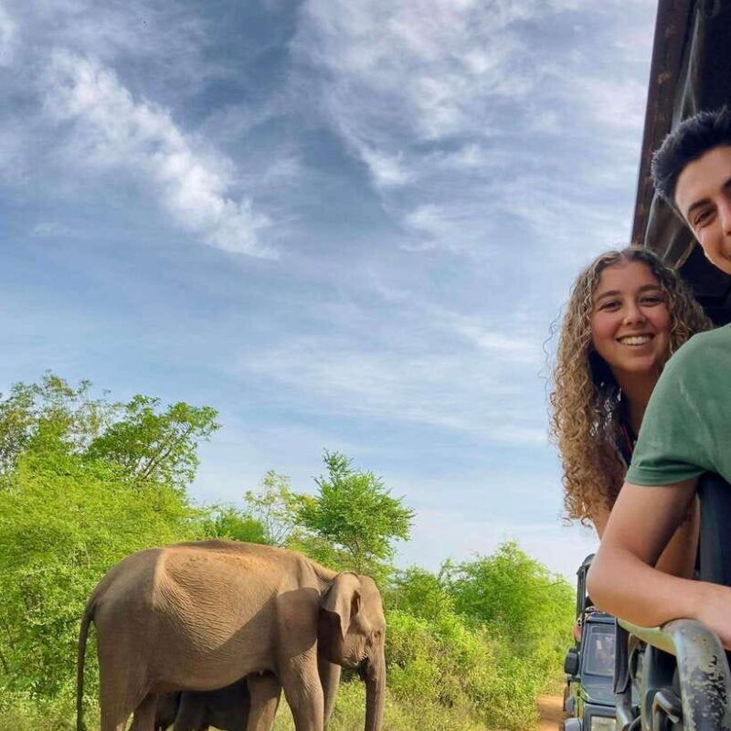 from-tangalle-yala-national-park-safari-with-drop-ella