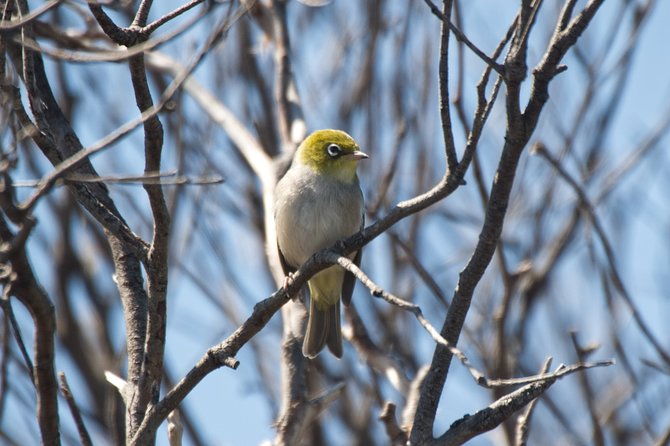 From the Mountains to the Bay - 4 Day Rediscovery Private Tour - FAQ