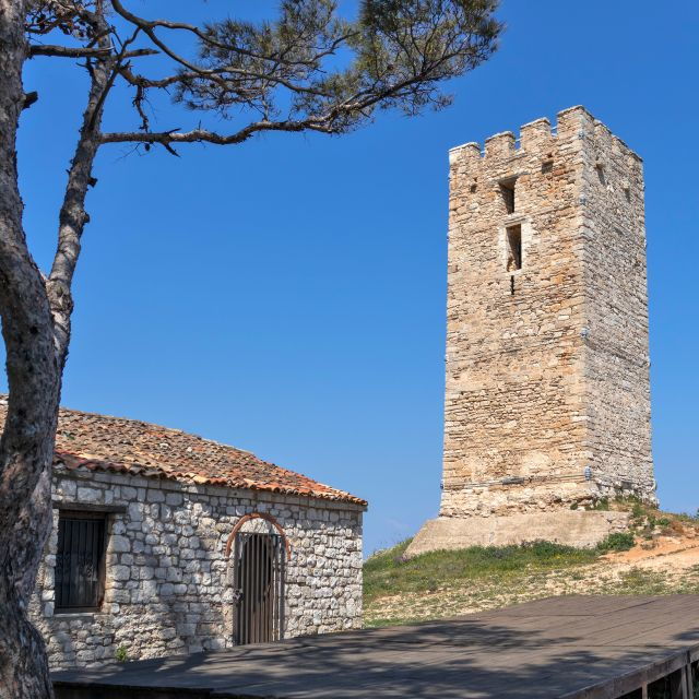 from-thessaloniki-private-day-trip-to-kassandra-chalkidiki