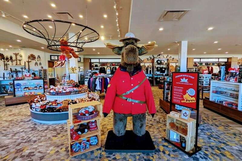 from-toronto-niagara-falls-private-day-tour
