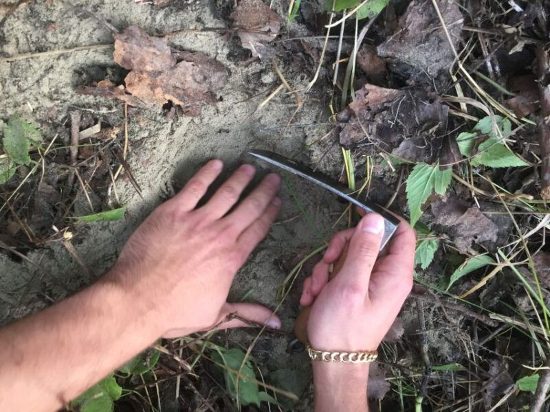 from-tortona-piedmont-truffle-hunting-experience