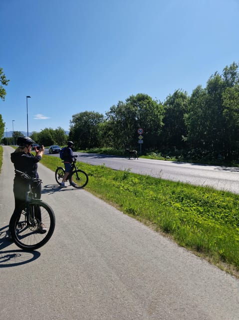 from-tromso-fjord-sightseeing-with-e-bike