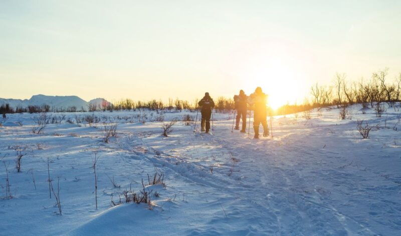 from-tromso-guided-husky-snowshoe-hike-and-husky-camp-visit