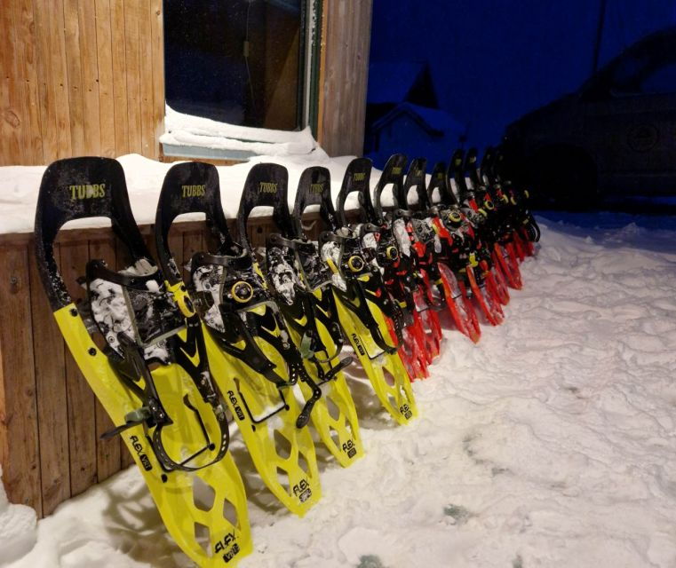 from-tromso-snowshoe-hike-in-the-arctic