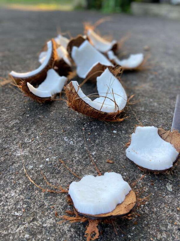 from-ubud-traditional-bali-coconut-oil-class