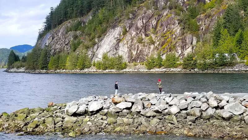 from-vancouver-shannon-falls-and-whistler-sightseeing-tour