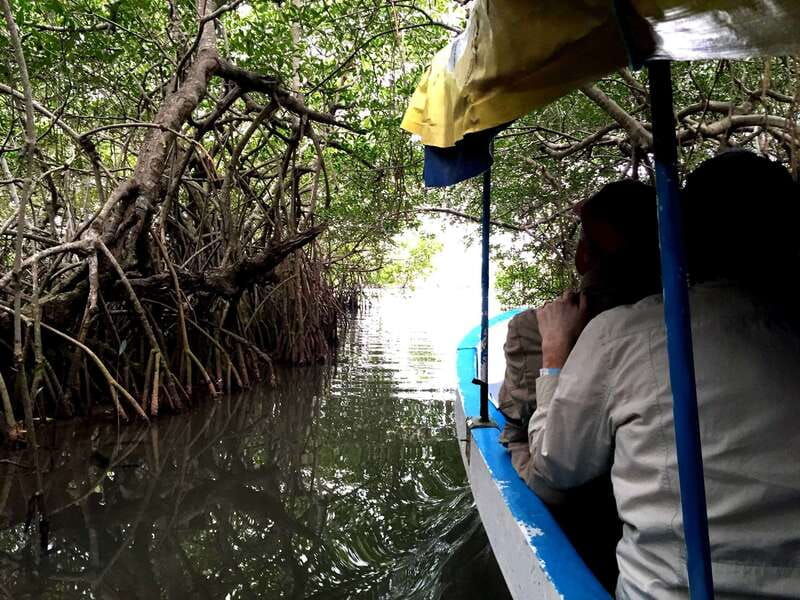 from-veracruz-nature-seafood-boat-tour-to-madinga