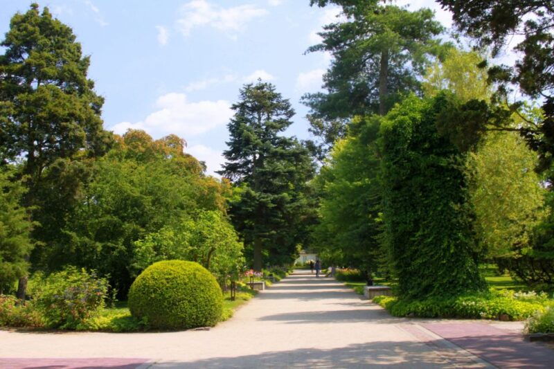 from-warsaw-tour-to-chopins-birthplace-zelazowa-wola