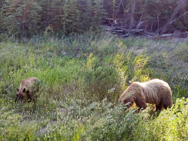 from-whitehorse-skagway-day-trip-2
