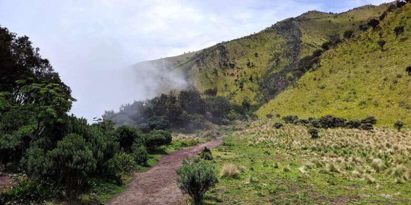 from-yogyakarta-mount-merbabu-one-day-hiking-tour