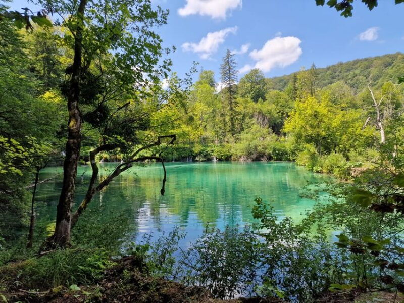 from-zadar-plitvice-lakes-day-trip-with-guide-and-boat-tour