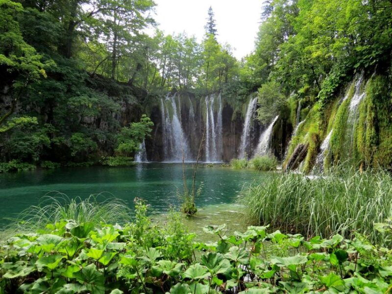 from-zagreb-to-split-plitvice-lakes-private-tour