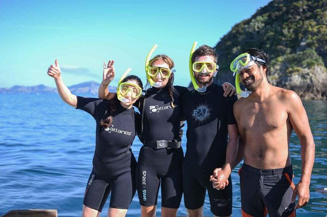 Full-Day Adventure Cruise with Lunch in Bay of Islands - Who Would Love This Tour?