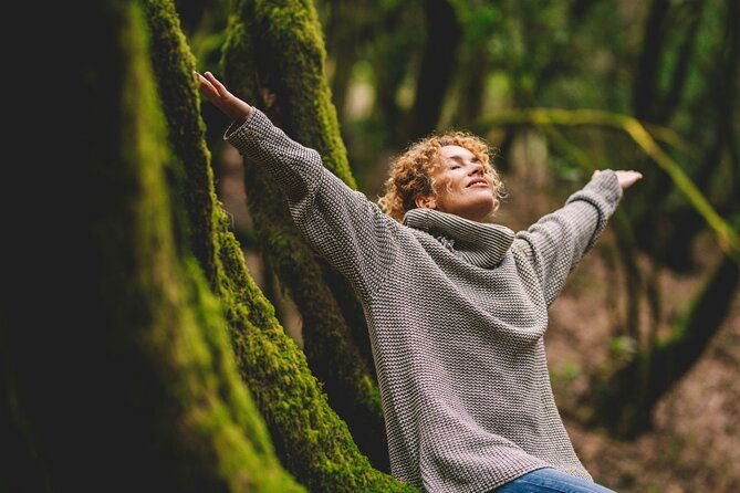 Full-day Auckland City & Rainforest Tour by Car - Frequently Asked Questions (FAQs)