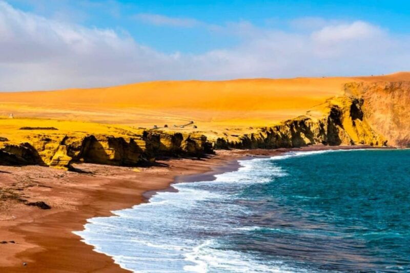 full-day-ballestas-islands-paracas-national-reserve