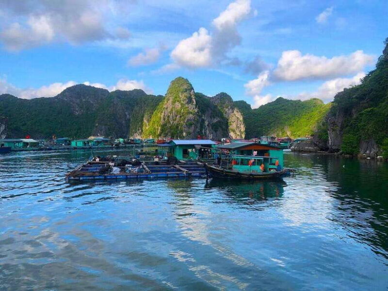 full-day-boat-tour-explore-cat-ba-archipelago-lan-ha-bay