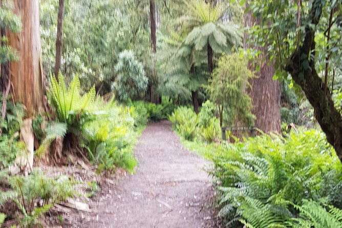 Full-Day Dandenong Ranges Tour with Pickup from Melbourne - Transportation and Accessibility