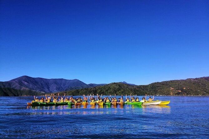 Full day Guided Sea Kayak Tour from Picton - Practical Details: Timing, Price, and Booking