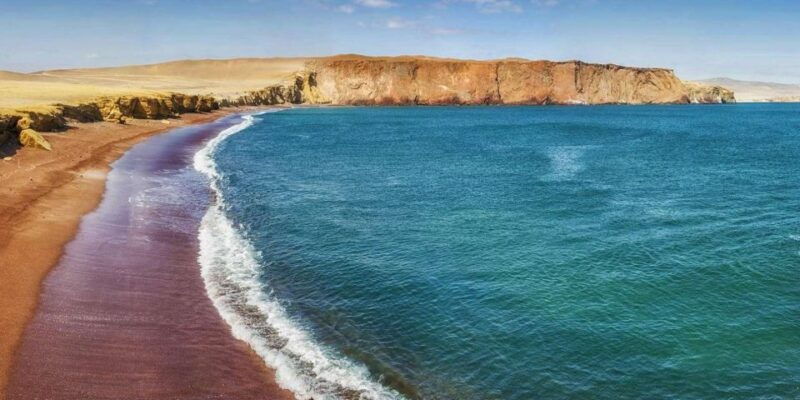 full-day-in-paracas-ballestas-islands-paracas-reserve