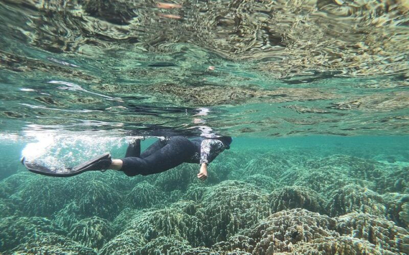 full-day-koh-lipe-7-points-snorkeling-experience-with-lunch