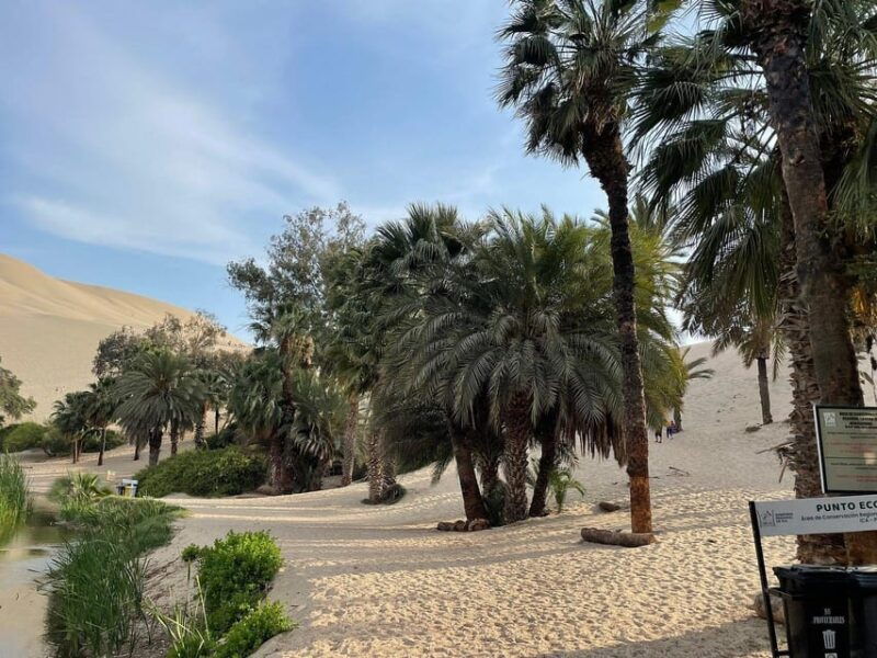 full-day-paracas-and-huacachina-sunset-tour-an-epic-exp