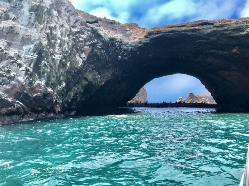 full-day-paracas-ica-from-lima