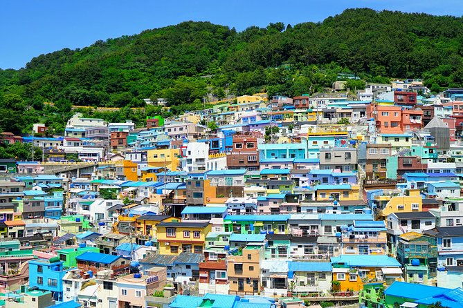 Full Day Private Busan Highlight Tour with Licensed Guide - FAQ