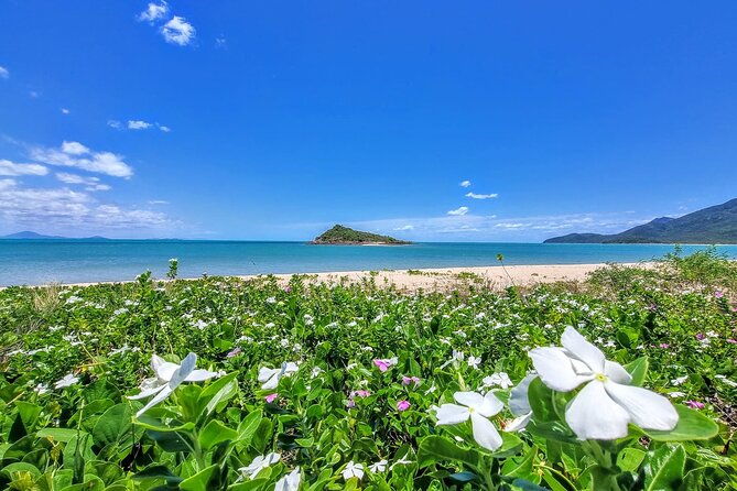 Full-Day Tour Whitsunday Waterfalls Hinterland and secluded beaches - Who Should Book This Tour?