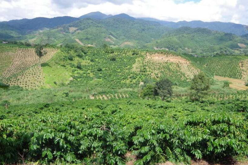 full-day-trip-in-the-countryside-of-da-lat