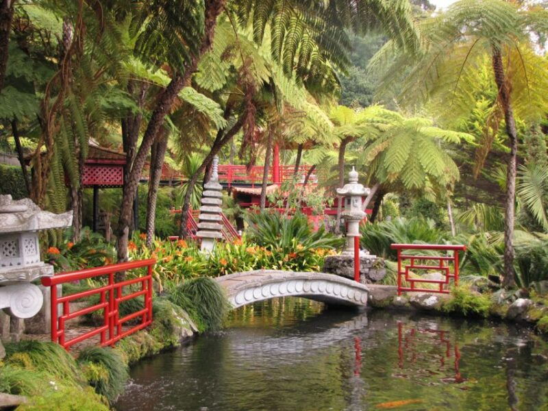 funchal-monte-palace-tropical-gardens-tuk-tuk-tour