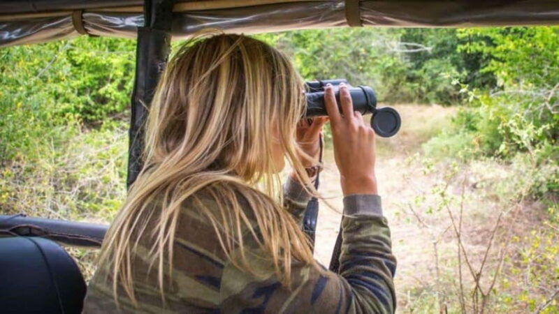 galle-or-mirissa-private-yala-safari-with-lunch-at-campsite