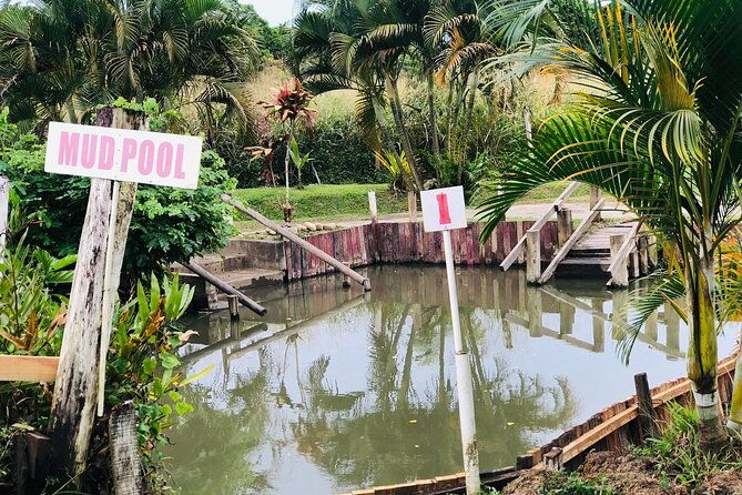 Garden Of Sleeping Giant ,Mudpool &Temple Tour From Coral Coast - Why Choose This Tour?