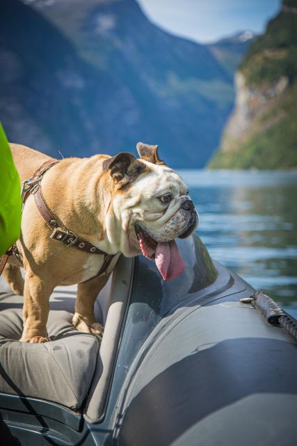 geiranger-guided-geirangerfjord-boat-tour
