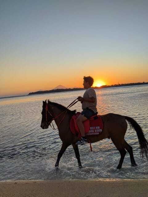 gili-air-1-hour-horseback-riding-with-hotel-transfer