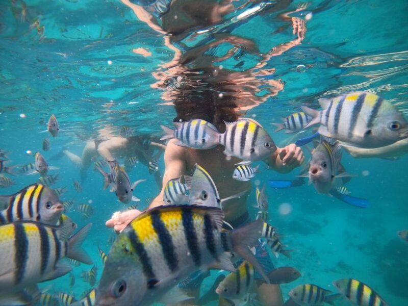 gili-islands-2-hour-snorkel-with-gopro-camera-guide