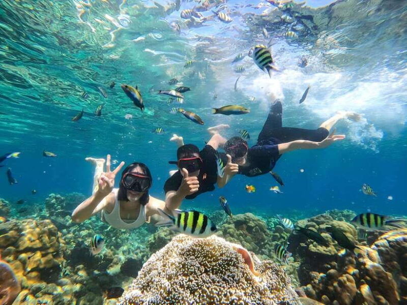 gili-islands-private-snorkeling-boat-tour-with-local-guide