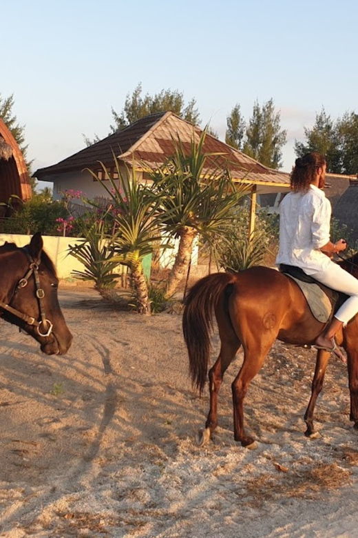gili-meno-1-hour-horse-riding-adventure