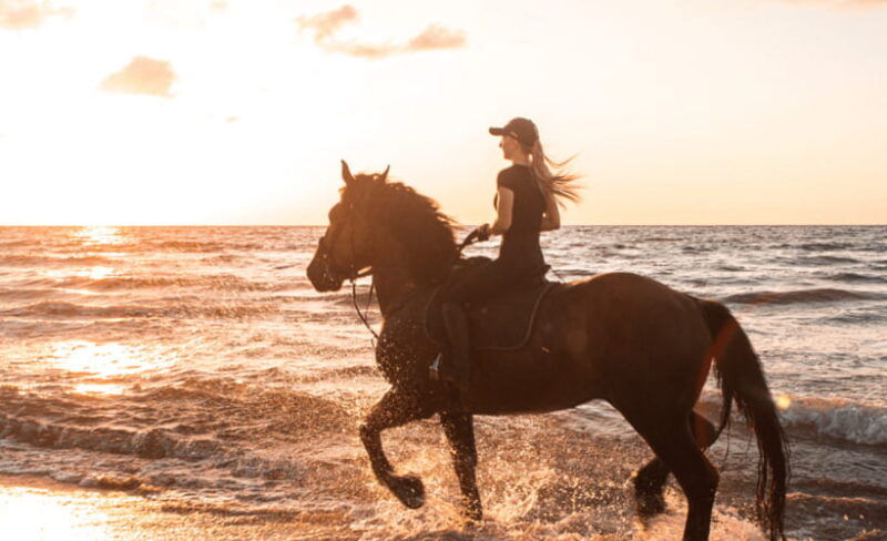 gili-trawangan-beach-horseback-riding-with-pickup-hotel