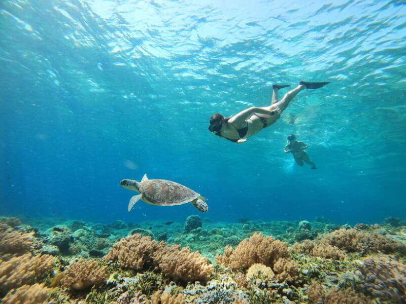 gili-trawangan-private-snorkeling-coral-statues-turtles