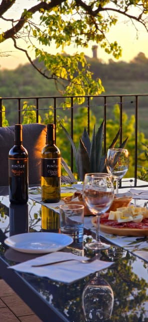 goriska-brda-wine-tasting-with-local-snacks