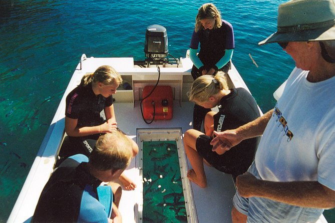 Great Barrier Reef Private Expedition Cruise (min 4 day max 8 guests) - Who Is This Tour Perfect For?