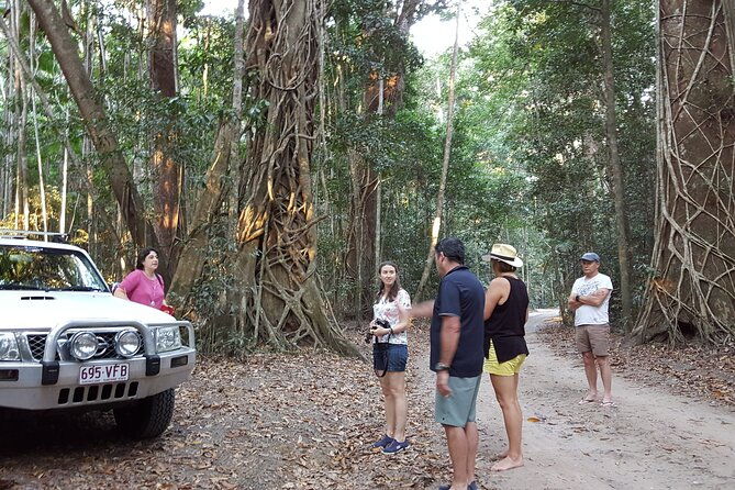 Great Beach Drive 4WD Tour - Private Charter from Noosa to Rainbow Beach - Who Would Love This Tour?